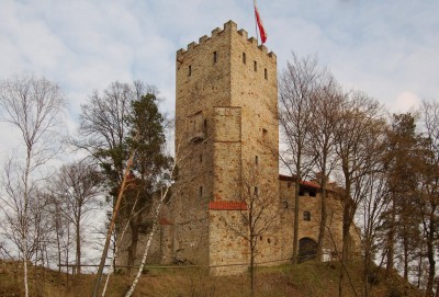 Miniatura Wytrzyszczka - Zamek Tropsztyn