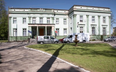Miniatura Borów - Pałac