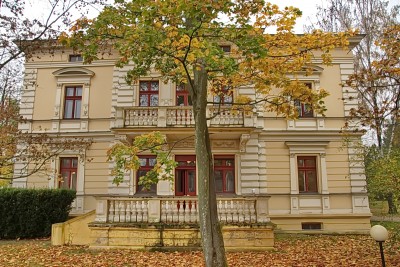 Miniatura Łódź - Pałac Zygmunta Richtera
