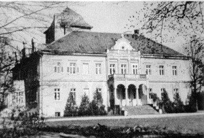 Miniatura Olszyna Dolna - Pałac (nr 60)